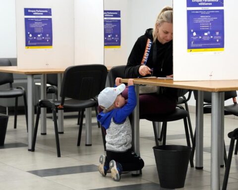 Выборы в Европарламент пока проходят мирно - глава Госполиции