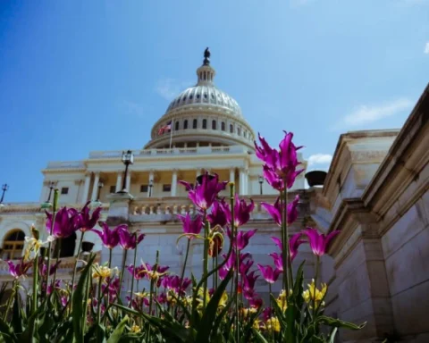 В США республиканцы Трампа получают большинство в Сенате