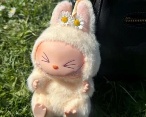 Лабубу: куклы, вызывающие восхищение и страх, завоевали популярность по всему миру