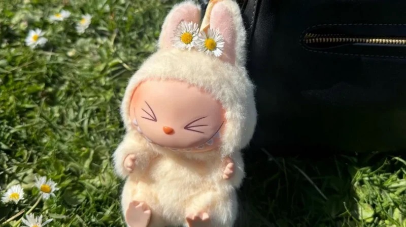 Лабубу: куклы, вызывающие восхищение и страх, завоевали популярность по всему миру