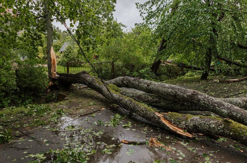 Холодный июнь негативно сказался на работе ресторанов и кафе