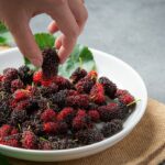 Необходимость мыть шелковицу перед употреблением