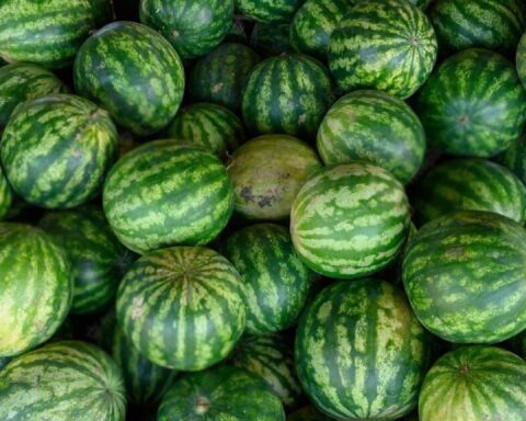 Опасные арбузы: признаки, указывающие на угрозу для здоровья