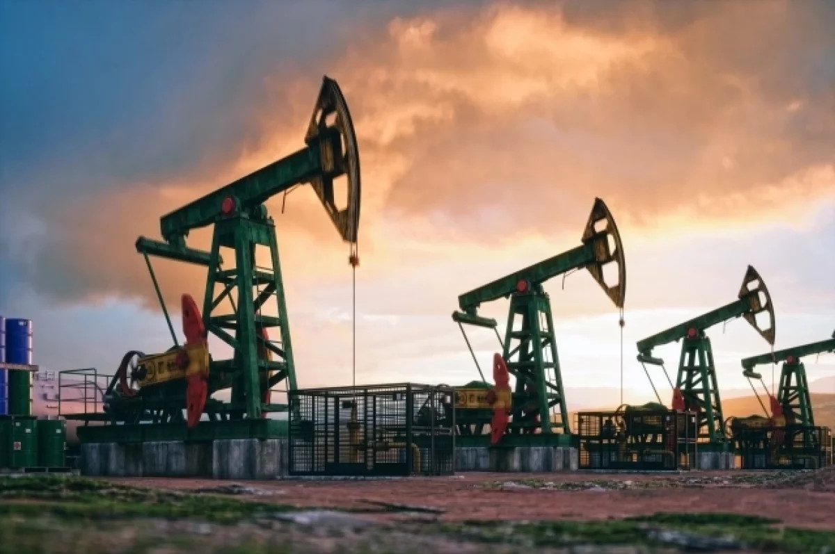 Индия приостановила закупки российской нефти на фоне угроз вторичных санкций США