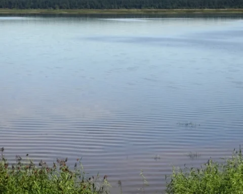 Купальный сезон в Риге завершается: самоуправление рекомендует официальные места для отдыха