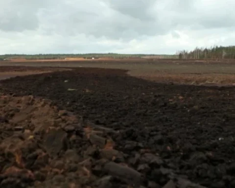 Латвийские торфяники требуют чрезвычайной ситуации из-за нехватки солнечной погоды