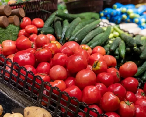 Продовольственные запасы в Латвии: необходимость в условиях возрастающих цен или экономическая ошибка?