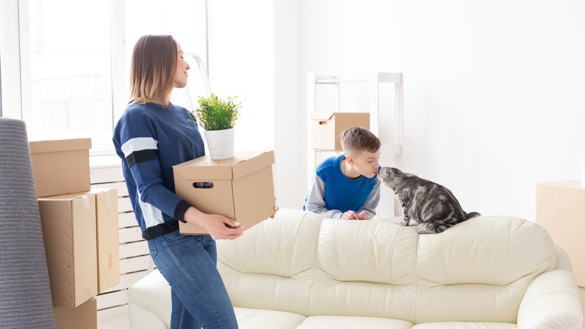 Рига войдет в программу строительства 1000 доступных арендных квартир