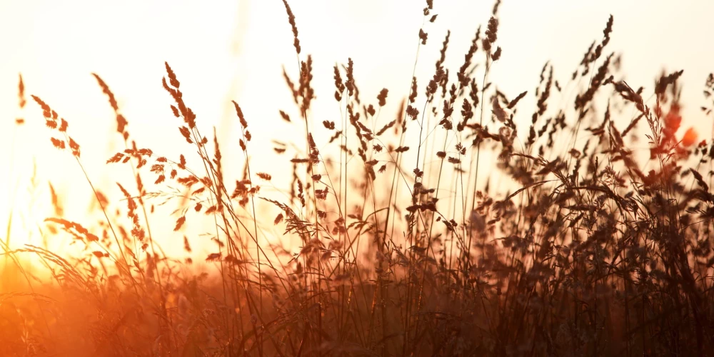 Температура в Латвии достигнет +25 градусов, возможны дожди и грозы