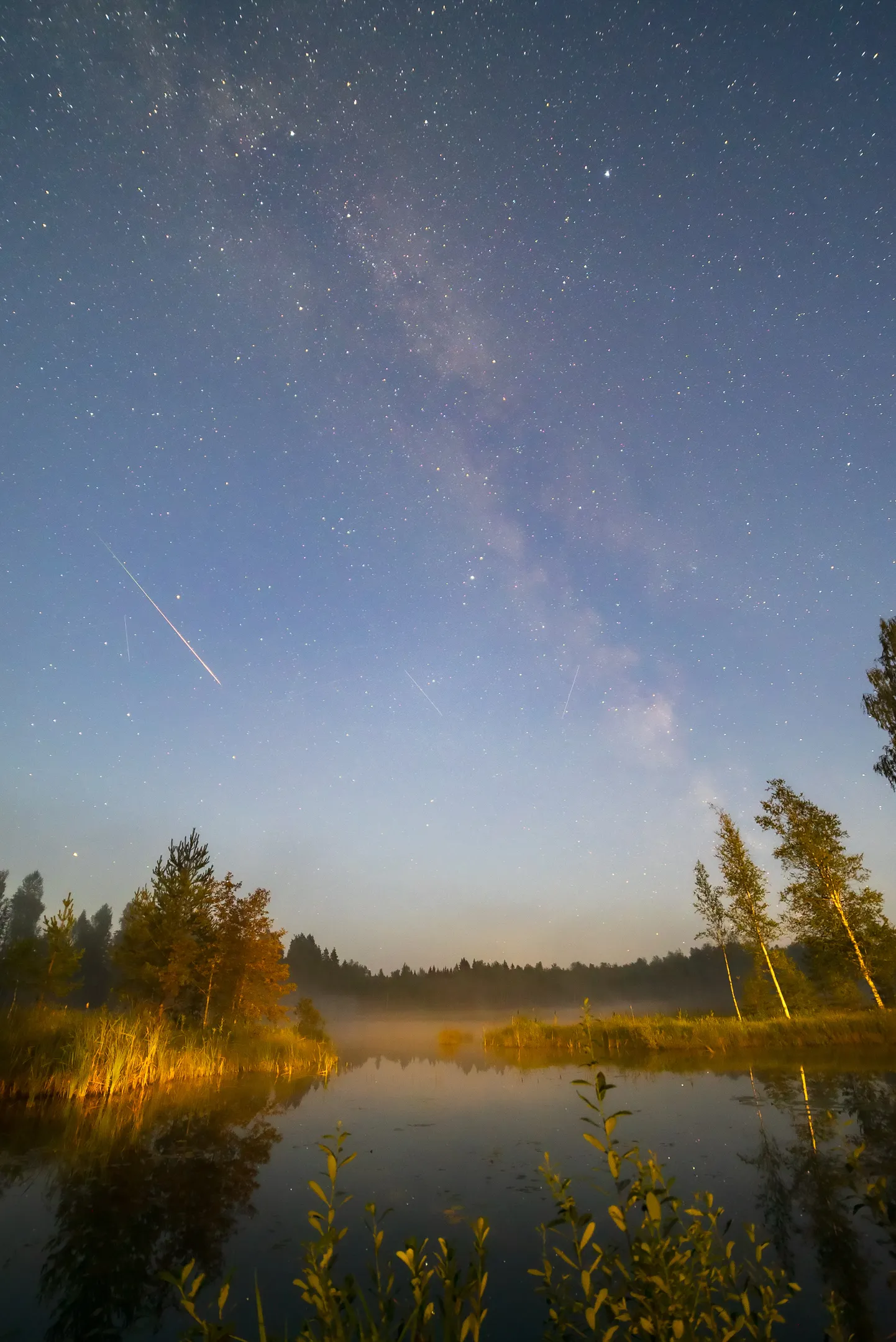 В Ботаническом саду состоится "Ночь Персеид"