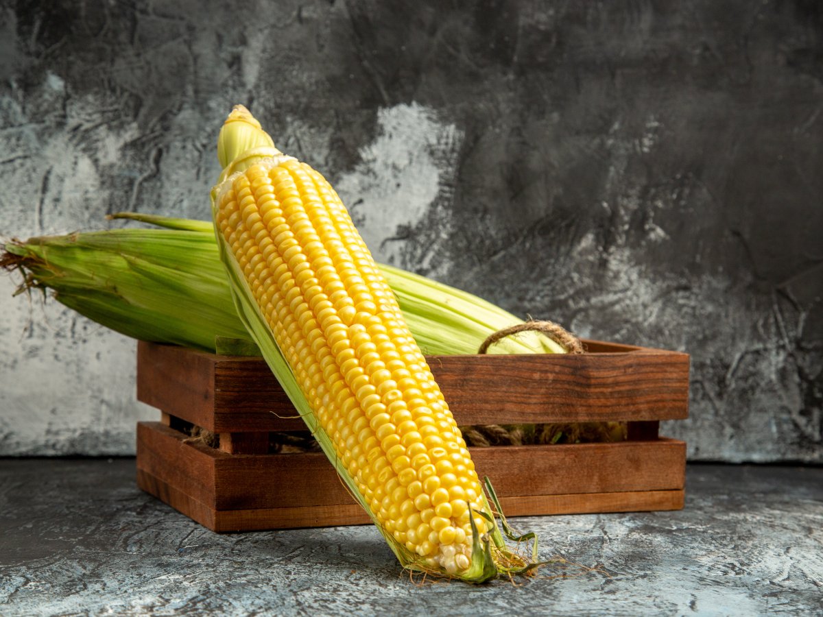 Европа укрепляет позиции украинской кукурузы на фоне засухи