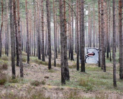 Латвия стала первым государством в Балтии с сертификацией экосистемных услуг FSC