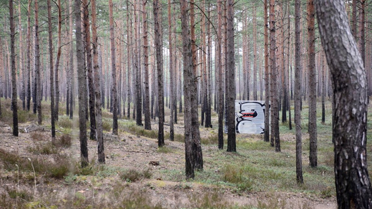 Латвия стала первым государством в Балтии с сертификацией экосистемных услуг FSC