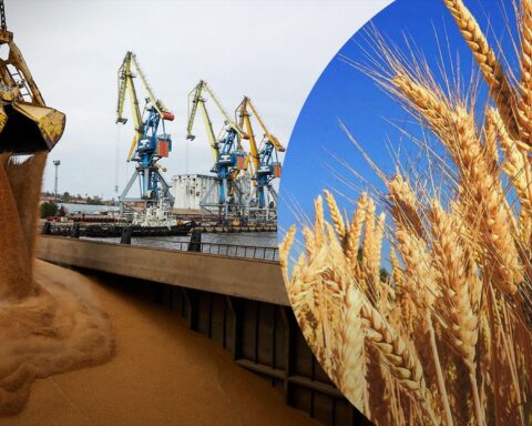 Украина увеличивает экспорт зерна в Европу несмотря на войну
