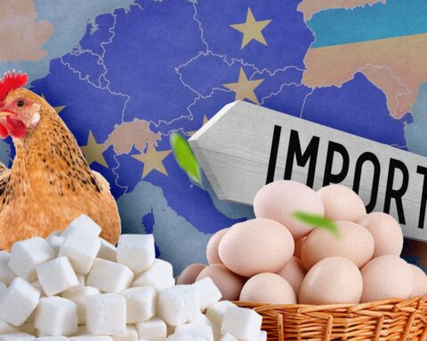 ЕС значительно увеличил квоты на украинское продовольствие