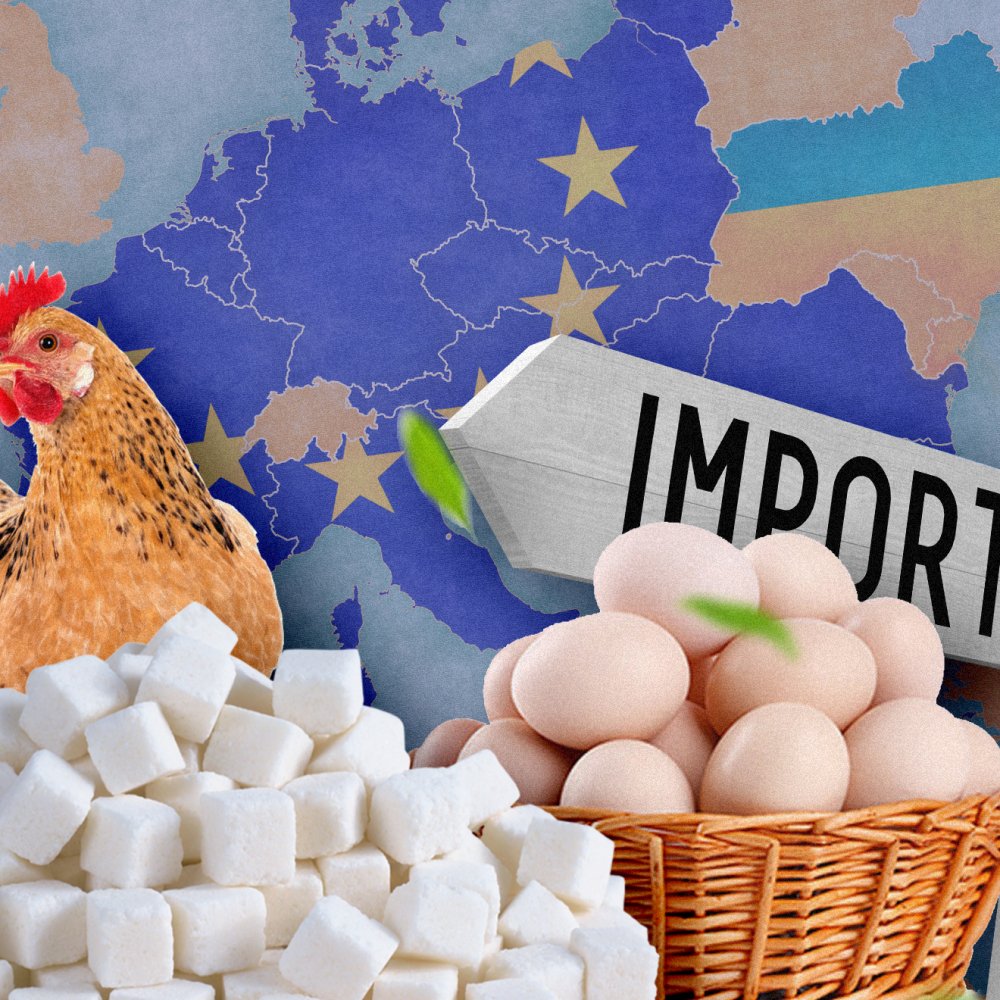 ЕС значительно увеличил квоты на украинское продовольствие