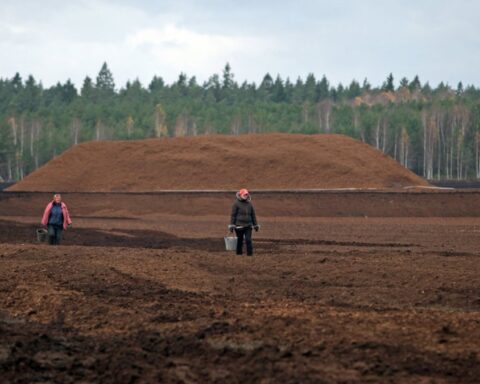 Латвия добыла лишь треть сезонного объема торфа, ожидается объявление ЧС в отрасли