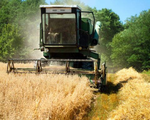 Продажи сельхозтехники в России упали на треть