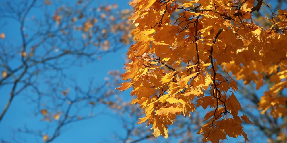 Прогноз погоды на воскресенье: солнечно в Риге, облачно на западе Латвии