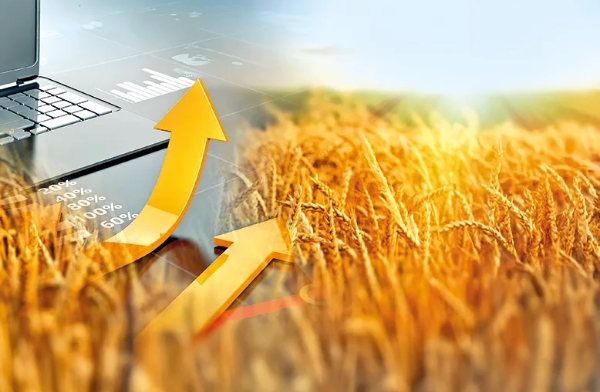 Украинский ячмень укрепляет продовольственную и логистическую стабильность Европы