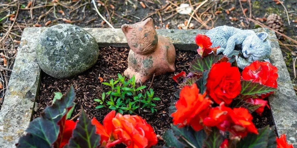 В Сигулдском крае создают первое кладбище для домашних животных