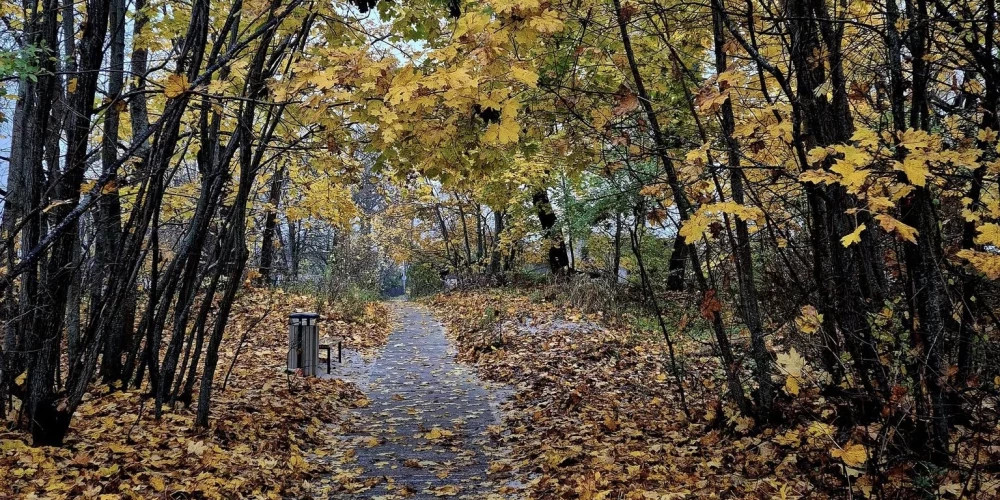 В субботу в Латвии местами облачно с прояснениями и дожди