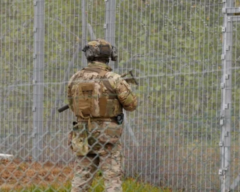 Число попыток нелегального пересечения латвийско-белорусской границы удвоилось в 2023 году