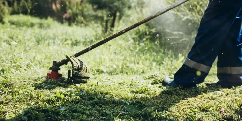 Даугавпилсская дума введет штрафы для владельцев запущенных участков