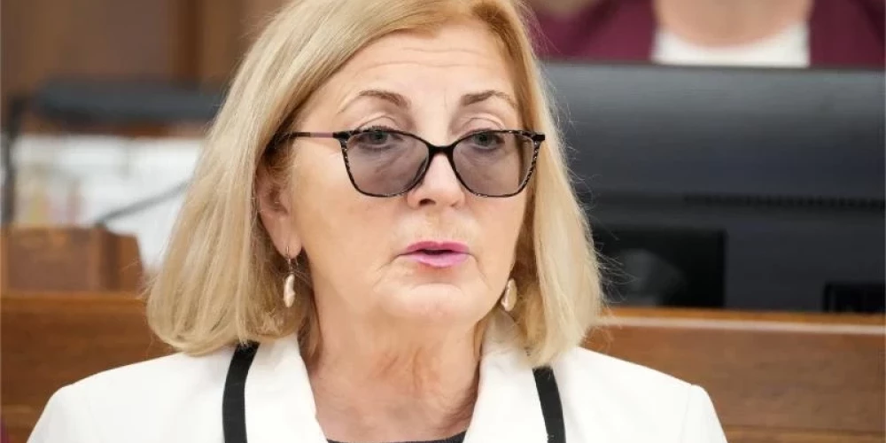 Депутат призывает сократить расходы Сейма и пересмотреть командировочные поездки