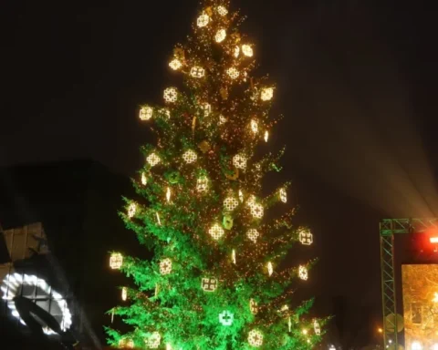 Главная ёлка Риги зажгла мэр Виестурс Клейнбергс, несмотря на плохую погоду