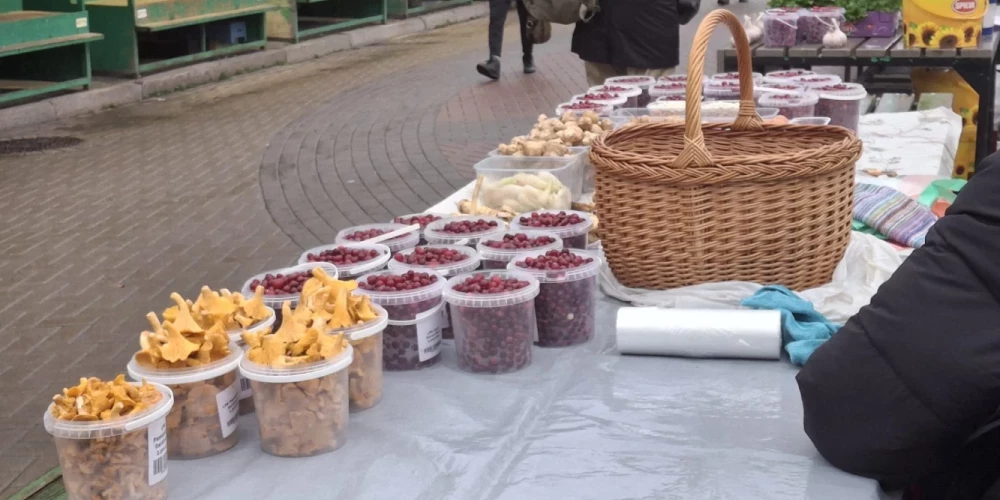 Грибной сезон в Латвии продолжается: миколог объясняет затянувшееся время сбора