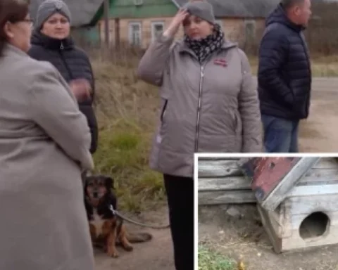 Хищник разорвал собаку в Резекненском крае, жители обеспокоены атаками на домашних питомцев