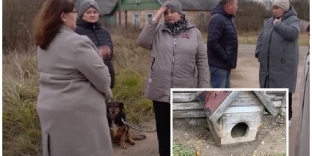 Хищник разорвал собаку в Резекненском крае, жители обеспокоены атаками на домашних питомцев