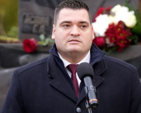 Критика предложения Ратниекса о запрете "пророссийских салютов" и проблемы контроля со стороны полиции