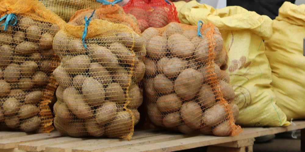 Латвийские фермеры сталкиваются с падением цен на картофель, польский урожай подрывает рынок