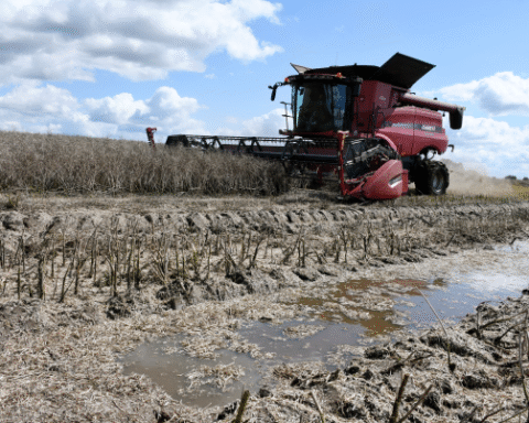 Латвийские сельхозпроизводители получают климатические субсидии для обеспечения продовольственной безопасности