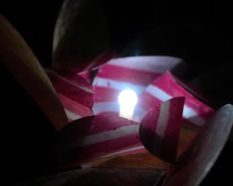 Латвию ожидают дожди, мокрый снег и гололедица в начале недели