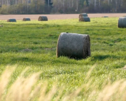 Метеорологи сообщили о солнечной активности в октябре и уровне осадков в Латвии