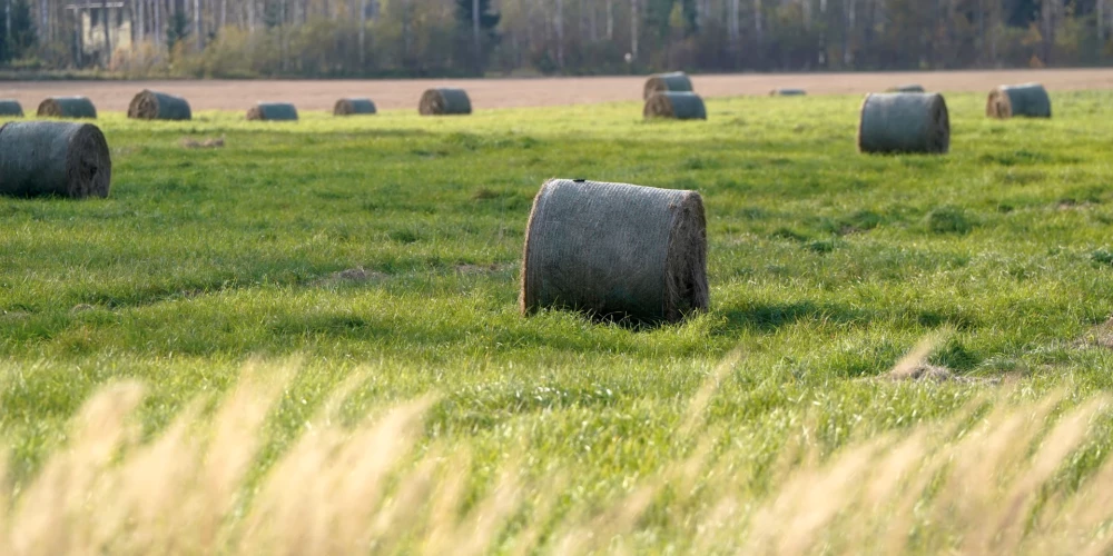 Метеорологи сообщили о солнечной активности в октябре и уровне осадков в Латвии