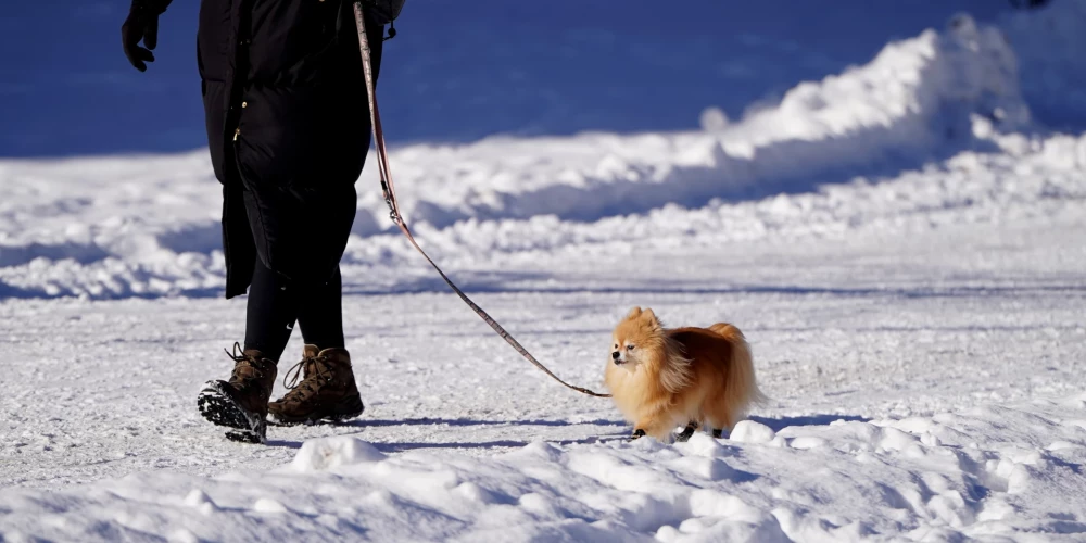 На Латвию надвигается холод с возможным снежным покровом до 10 см в праздничные дни