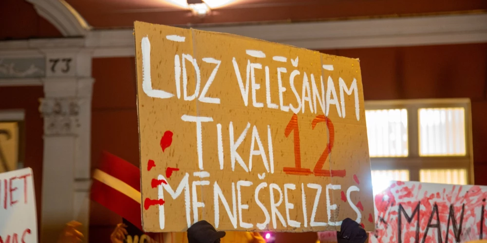 Нацобъединение и "Объединенный список" поддерживают призыв президента передать вопрос Стамбульской конвенции следующему Сейму