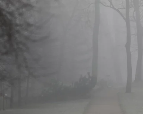 Облачное воскресенье в Латвии: туман и температура 0..+3 градуса