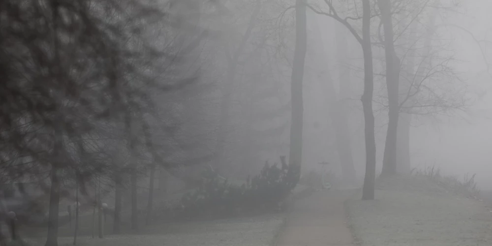 Облачное воскресенье в Латвии: туман и температура 0..+3 градуса