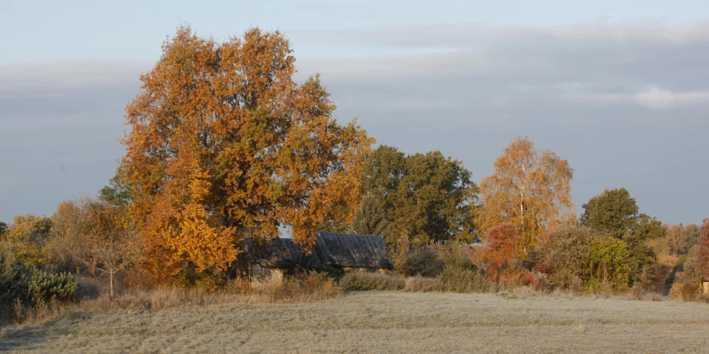 Пасмурное воскресенье: в Латвии ожидаются туман и облачная погода
