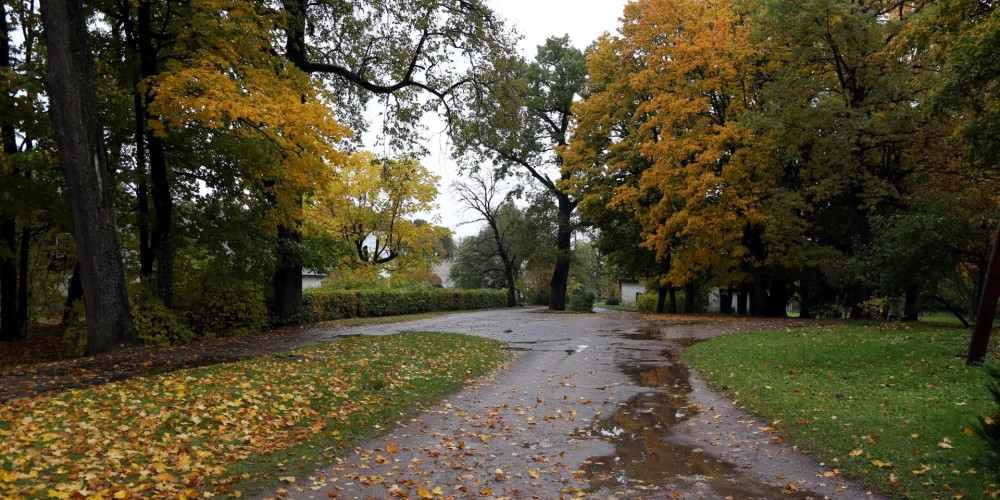 Первый день ноября в Латвии: пасмурно, небольшой дождь на востоке, температура до 11 градусов