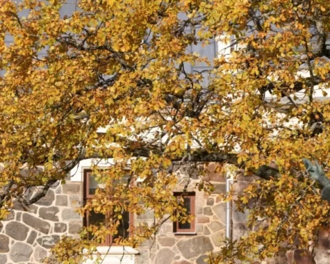 Погода в Латвии: облачность, кратковременные дожди и температура до +10 градусов