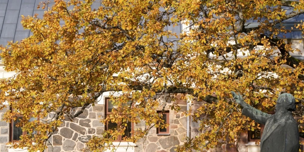 Погода в Латвии: облачность, кратковременные дожди и температура до +10 градусов