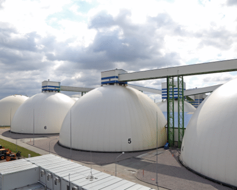 Правительство Латвии отклонило запрос на возобновление работы терминала RFT из-за рисков связей с Мазепиным