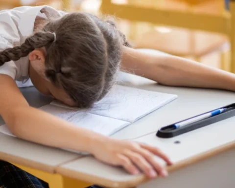 Причины отказа в приёме русскоязычной девочки из Латвии в школу в Москве