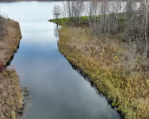 Прогноз погоды в Латвии на среду: серое небо и дожди до +10 градусов